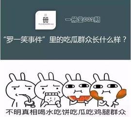 吃瓜群众事件感悟,吃瓜群众现象背后的社会思考与启示